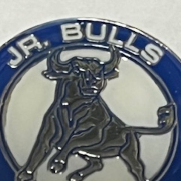 Jr. Bulls Youth Hockey Tampa, Florida Lapel Hat Pin 1" Circular - Picture 5 of 6